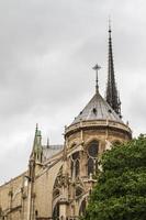 Notre Dame París foto