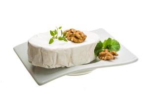 Brie cheese on white photo