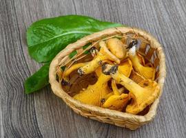 Chanterelle in a basket on wooden background photo