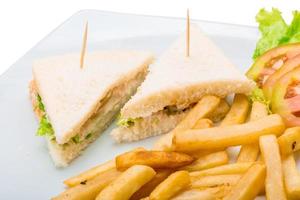 Club sandwich on white photo