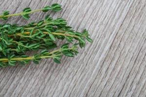 Thyme branch on wooden background photo