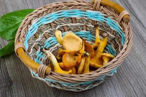 Chanterelle in a basket on wooden background photo