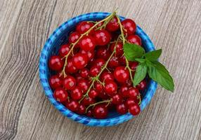 Red currants on wood photo