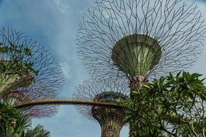 SINGAPORE, MAY 12, 2022 - Gardens by the Bay on Mar 12, 2014 in Singapore. Gardens by the Bay was crowned World Building of the Year at the World Architecture Festival 2012 photo