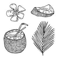 conjunto de imágenes prediseñadas de coco. icono de tuerca dibujado a mano. ilustración tropical. para impresión, web, diseño, decoración vector