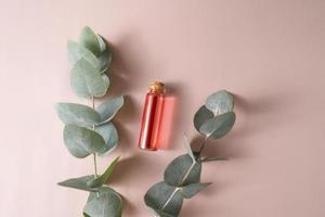 A face serum or essential oil made of flower extract lying on a pink background with eucalyptus branches photo