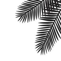 Black leaves of palm tree vector