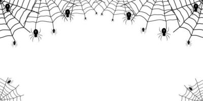 Spider and cobweb background vector