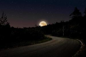 paisaje nocturno con carretera vacía en el bosque foto