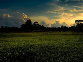 Sunset in meadow landscape photo