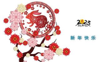 Happy lunar new year 2023, Vietnamese new year, Year of the Cat. vector