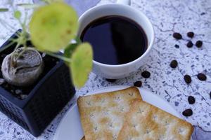 The hot black coffee in a white cup and the crackers are intense and go well together. photo