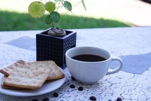 The hot black coffee in a white cup and the crackers are intense and go well together. photo