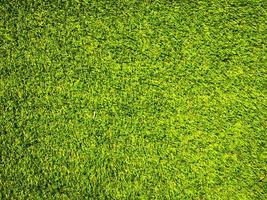 Green grass texture use as natural background. Wallpaper for design artwork photo