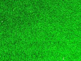 Green grass texture use as natural background. Wallpaper for design artwork photo