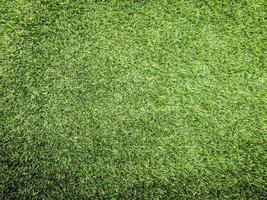 Nature green grass texture background for design. Eco concept. photo