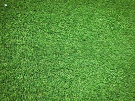 Green grass texture use as natural background. Wallpaper for design artwork photo