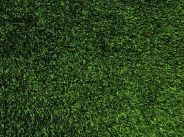 Green grass texture use as natural background. Wallpaper for design artwork photo