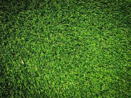 Green grass texture use as natural background. Wallpaper for design artwork photo