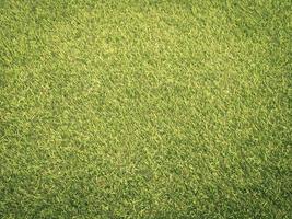Closeup view of green grass soccer field background. Wallpaper for work and design. photo
