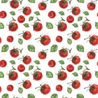 Watercolor realistic food pattern with tomatoes and basil vector