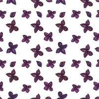 Traced watercolor seamless pattern with purple basil vector