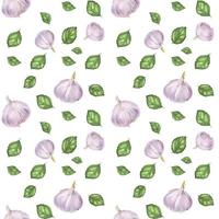 Traced watercolor seamless pattern with garlic and green basil vector