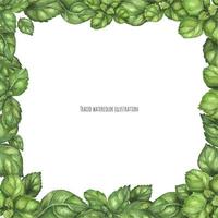 Fresh Green Basil Square Frame vector