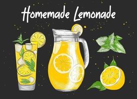 Vector engraved style Lemonade drink, carafe, glass, lemon, mint leaves illustration for posters, decoration, logo and print. Hand drawn sketch, beverage ingredients. Detailed colorful drawing.