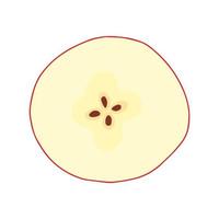 Apple in section top view doodle illustration. Vector apple sketch