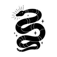 Vector black snake with mystical magic objects