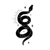 Vector black snake with mystical magic objects