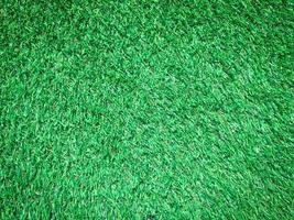 Green grass texture use as natural background. Wallpaper for design artwork photo