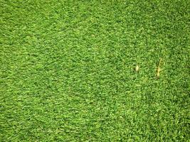 Artificial green lawn backyard for background. Texture for design photo