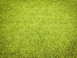 Top view of green grass texture background. Element of design. photo