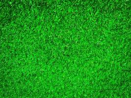 Top view of green grass texture background. Element of design. photo