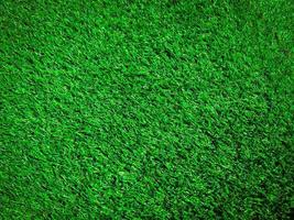 Green grass close up view in the jungle with copy space for design photo