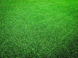 Green grass in the natural background for design photo