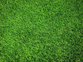 Green grass in the natural background for design photo