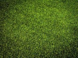 Closeup view of green grass soccer field background. Wallpaper for work and design. photo