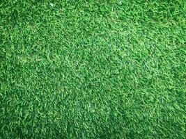 Nature green grass texture background for design. Eco concept. photo