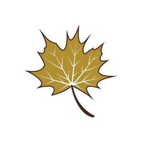 Maple leaf logo Template vector icon illustration design