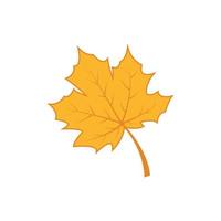 Maple leaf logo Template vector icon illustration design