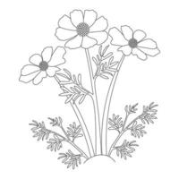 página para colorear de ilustración de flor de cosmos de jardín con diseño de arte de línea de pétalo floreciente vector