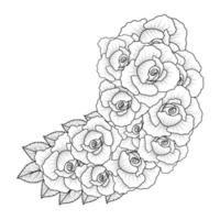 coloring page of red rose flower line art design with decorative pencil sketch drawing vector