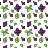 Traced watercolor seamless pattern with fresh basil vector