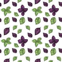 Traced watercolor seamless pattern with fresh basil vector