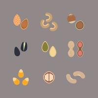 Flat Collection of Nuts vector