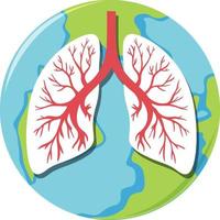 Lungs human icon vector