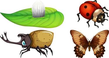 conjunto de diferentes tipos de insectos vector